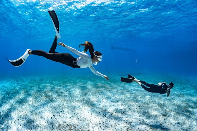 Snorkel Rental 24h, discover Tenerifes Ocean on your own! - How to Make the Most of Your 24 Hours in the Water
