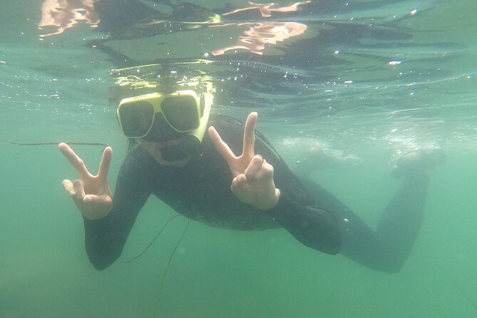 Snorkel San Diego's Mission Bay with a Marine Biologist - Final Thoughts on Snorkeling in Mission Bay