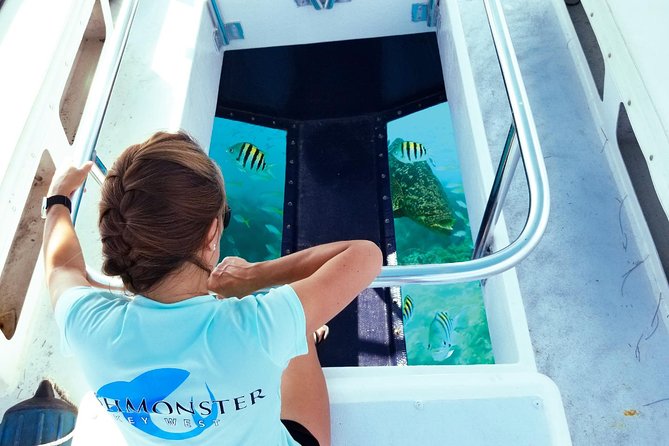 Snorkel, Sandbar & Dolphin Excursion - Key Points