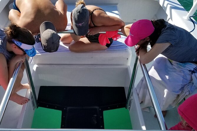 Snorkel, Sandbar & Dolphin Excursion - Exploring an Offshore Island