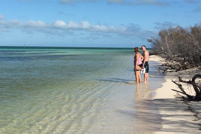 Snorkel, Sandbar & Dolphin Excursion - Meeting Point and Practical Details