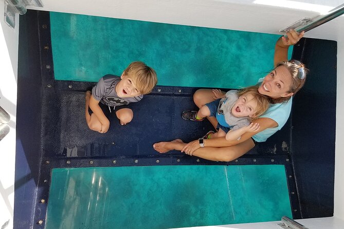 Snorkel, Sandbar & Dolphin Excursion - Expert Guidance and Marine Education