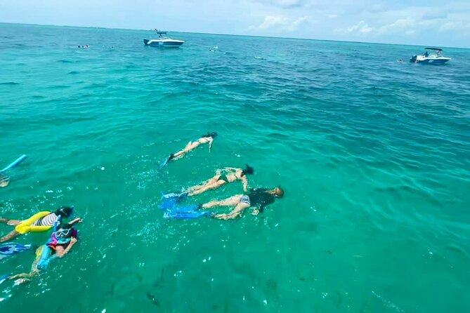 Snorkel, Sandbar & Sunset Cruise Trifecta in Marathon - Logistics: Timing, Weather, and Flexibility