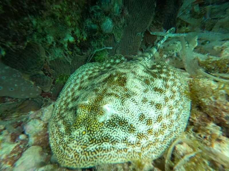 SNORKEL & TEQUILA TASTING - Flexibility with Booking and Cancellation Policies