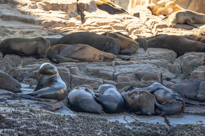 Snorkel Tour and Glass-Bottom Boat Ride in Cabo San Lucas - Physical Requirements and Accessibility