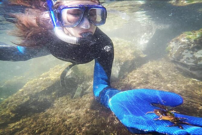 Snorkel Tour at Magic Island - Entry to the Snorkel Sites and Walk-in Access