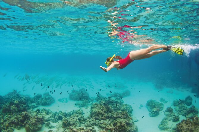 Snorkel Tour in Cozumel - The Departure Point in Riviera Maya and Hotel Pickup