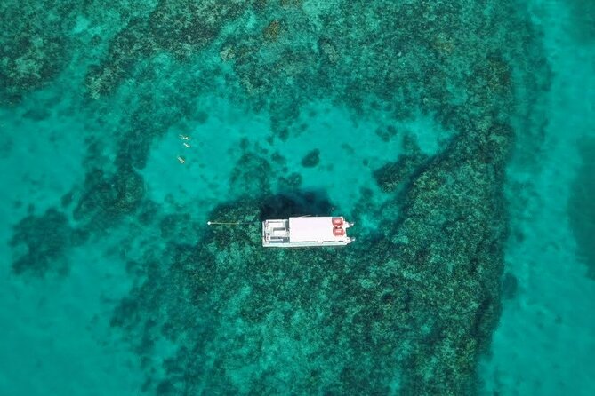 Snorkel Tour - Visit 2 Shallow Reefs John Pennekamp State Park - Physical Requirements and Safety Tips
