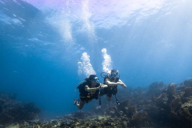 Snorkel Tour - Visit 2 Shallow Reefs John Pennekamp State Park - The Boat: Comfort and Capacity
