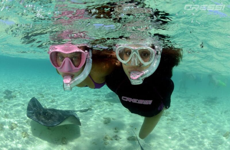 Snorkel tour Why not? - Discover Lanzarotes Underwater World with the "Why not?" Snorkel Tour