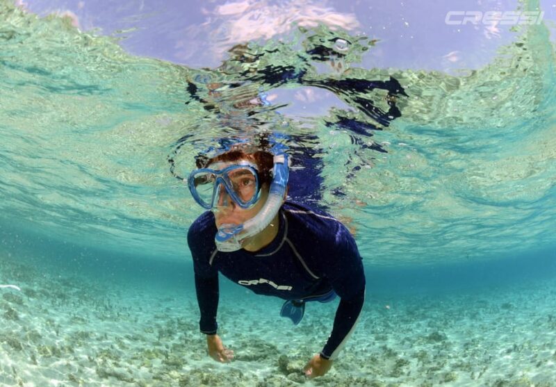 Snorkel tour Why not? - Final Thoughts on the "Why not?" Snorkeling Tour