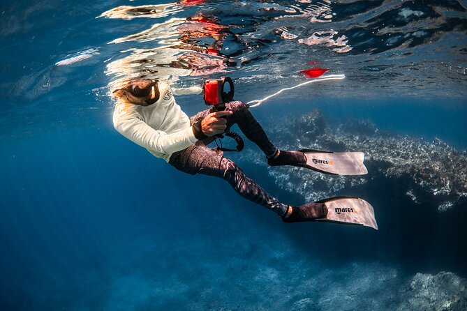 Snorkel with Turtles and Free Underwater Photos Lahaina - The Equipment: Comfort and Clarity Guaranteed