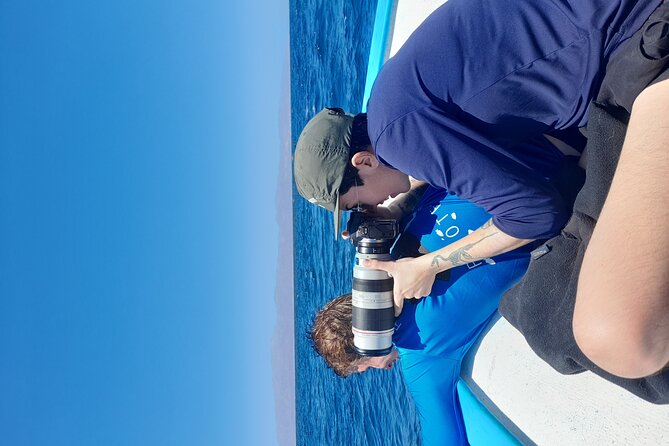 Snorkel with whale sharks includes equipment & transportation - Scenic Stops Including the Iconic Cabo Arch and La Paz