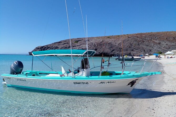 Snorkel with whale sharks includes equipment & transportation - Honest Insights from Reviews