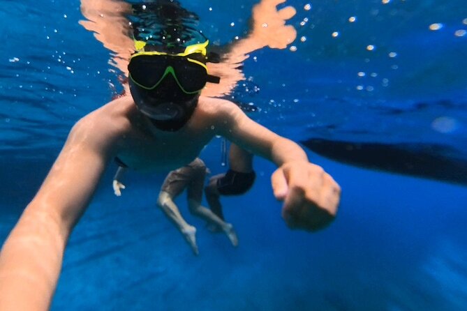 Snorkeling 360 Experience in Sazan Island & Karaburun - Visits to Haxhi Ali Cave and Beach Time at Karaburun