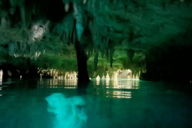 Snorkeling Activity in a Cenote Expedition - The Value of a Private Cenote Snorkeling Tour