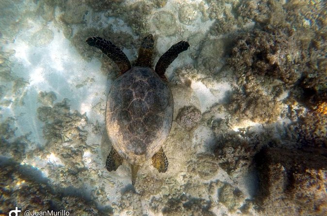 Snorkeling Adventure Cabo Pulmo - Flexibility and Cancellation Policy
