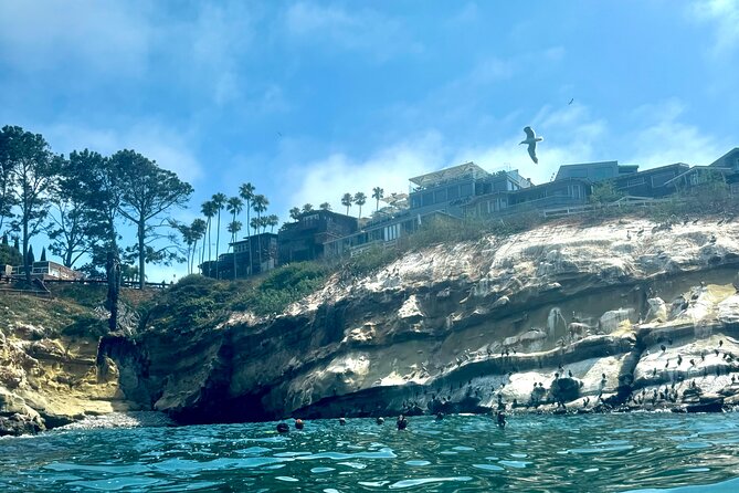 Snorkeling Adventure in La Jolla - Navigating the Water: Swimming Skills and Safety