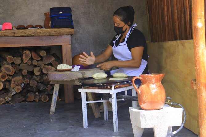 Snorkeling Adventure in Puerto Morelos - Highlights of the Reef Snorkeling Spots