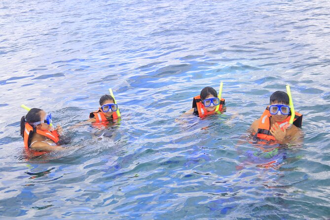 Snorkeling Adventure in Puerto Morelos Includes snack, Water and Round Trip. - Snorkeling at the National Reef Park