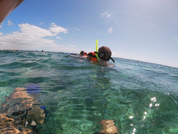 Snorkeling Adventure in Puerto Morelos Includes snack, Water and Round Trip. - Tequila Tasting and Mayan Cultural Insights