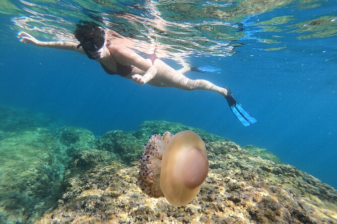 SNORKELING ADVENTURE | Pula Boat - Key Points