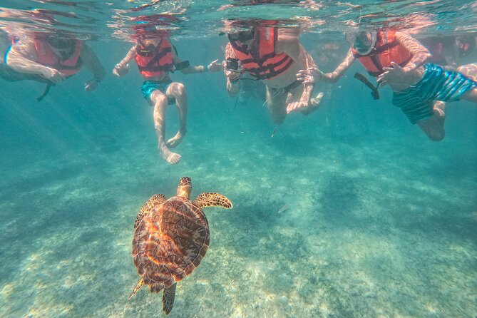 Snorkeling Adventure Swim with Sea Turtles at Akumal - Group Size and Booking Flexibility
