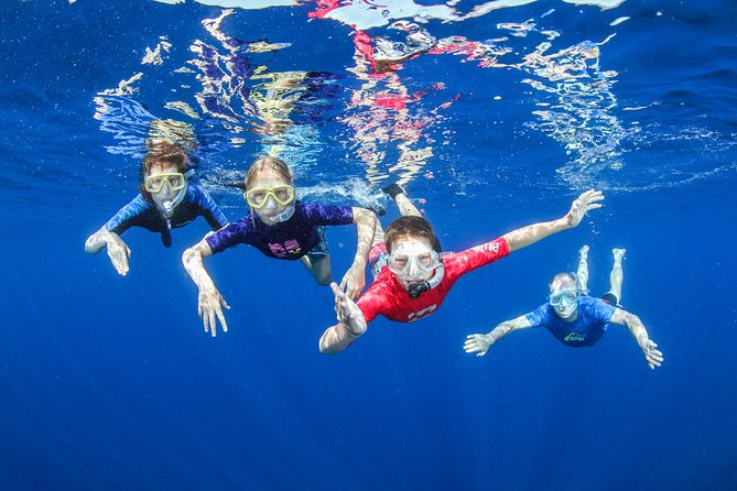 Snorkeling and Boat trip in Crete with free certification! - Key Points