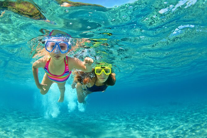Snorkeling and Dolphin Watching Experience in Destin - Exciting Dolphin Watching and Snorkeling in Destin for $44