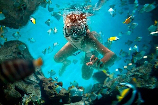 Snorkeling and Parasailing Over the Sea - ''Do It All'' Package - Logistics: Transportation, Group Size, and Practical Tips