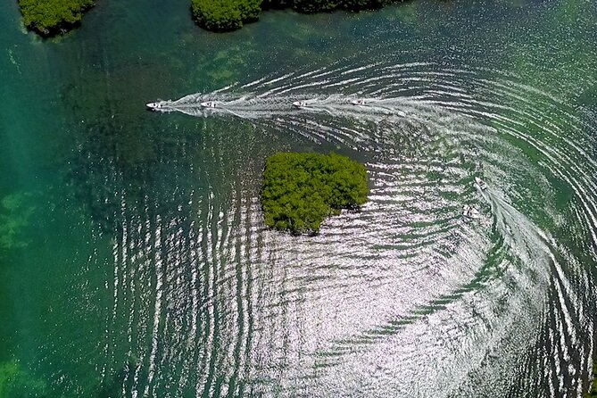 Snorkeling and Speed Boat Tour - Costs and Additional Fees to Consider