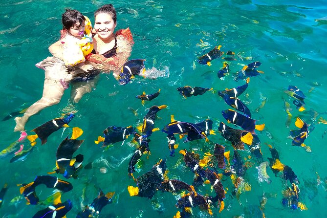 Snorkeling at Los Arcos 5 islands Hidden Beach and Cliff Jumping - What’s Included and What’s Not