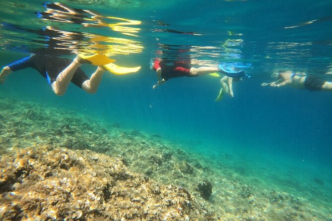Snorkeling Boat Excursions in Nea Makri, Athens - Relaxing in Schinias Bay’s National Park
