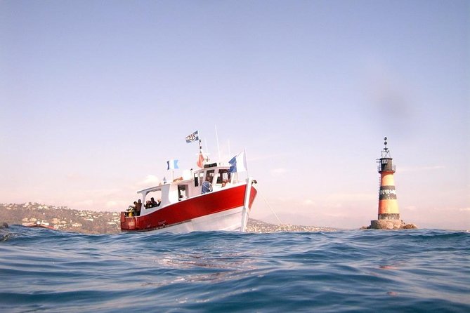 Snorkeling - By boat on site in the Bay of Cannes or Estérel - Locations Visited: Roches in Esterel or Lerins Islands