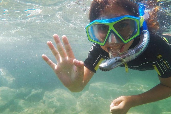 Snorkeling - By boat on site in the Bay of Cannes or Estérel - Who Should Book This Tour?