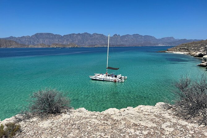 Snorkeling Catamaran Island Cruise - Snorkeling Catamaran Island Cruise in Loreto, Mexico – A Vibrant Marine Adventure