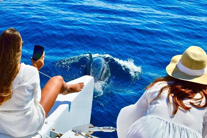 Snorkeling Catamaran Tour at Santa Maria Bay - The Departure and Check-in Process at Cabo Marina