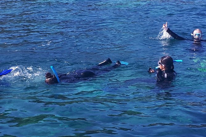 Snorkeling - The Experience Provider: Blue Sea Diving Center