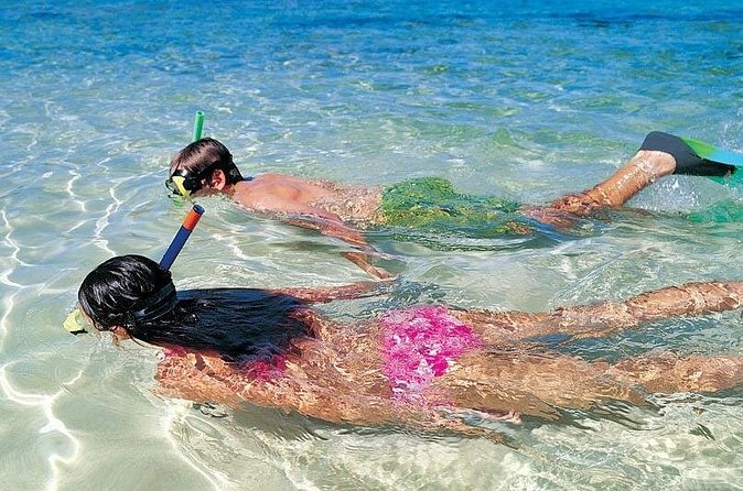 Snorkeling Discovery sailing in Los Cabos - Lunch, Drinks, and Relaxation on Deck