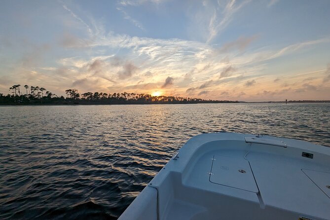 Snorkeling, Dolphin and Wildlife Sightings at St. Andrews Bay - Flexibility and Customization of the Tour