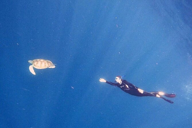 Snorkeling excursion in the Rayas and Turtles Zone - The Departure Points: Marina del Sur and Abades