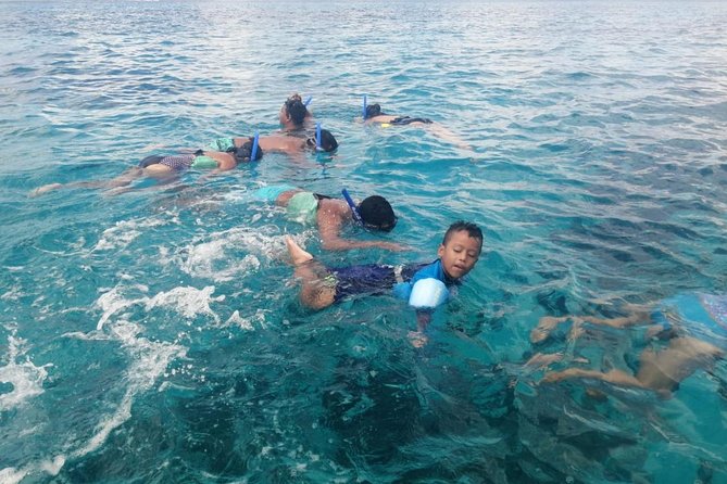 Snorkeling Experience Cozumel only from Playa del Carmen - Key Points