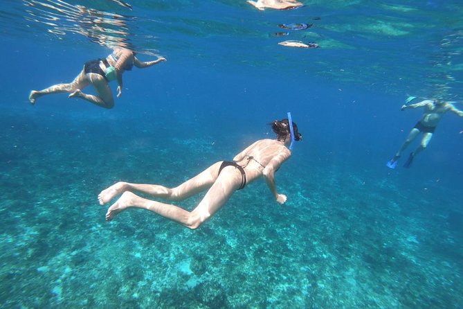 Snorkeling Experience Cozumel only from Playa del Carmen - Lunch and Free Time in Cozumel Town