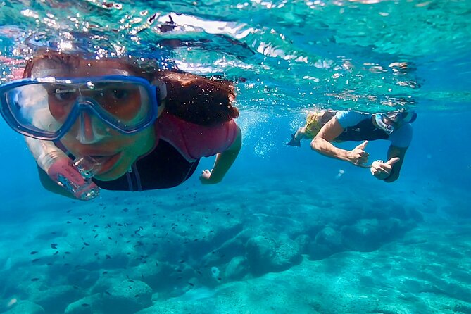 Snorkeling Experience to discover the dolphin inside you! - Experience the Magic of Sardinia’s Underwater World with Snorkeling