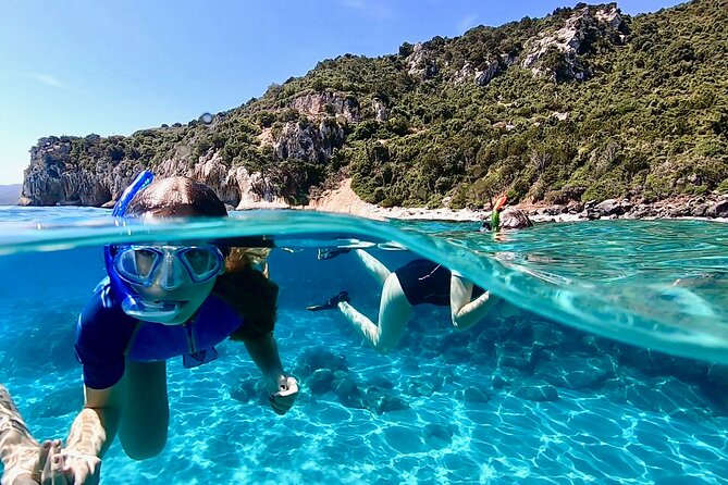 Snorkeling Experience to discover the dolphin inside you! - Key Points