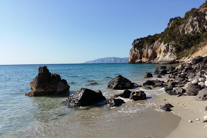 Snorkeling Experience to discover the dolphin inside you! - Exploring Sardinia’s Coastal Landscape and Marine Life