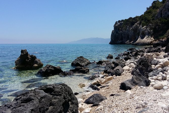 Snorkeling Experience to discover the dolphin inside you! - The Marine Environment and Cave Encounters