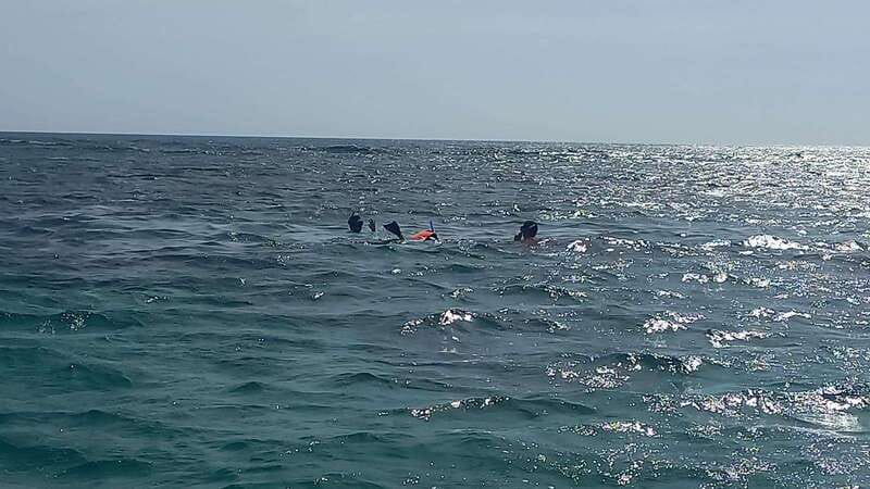 Snorkeling Express Puerto Morelos - Discover the Snorkeling Express Puerto Morelos Tour