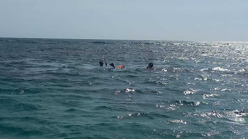 Snorkeling Express Puerto Morelos - Timing and Pacing of the Tour