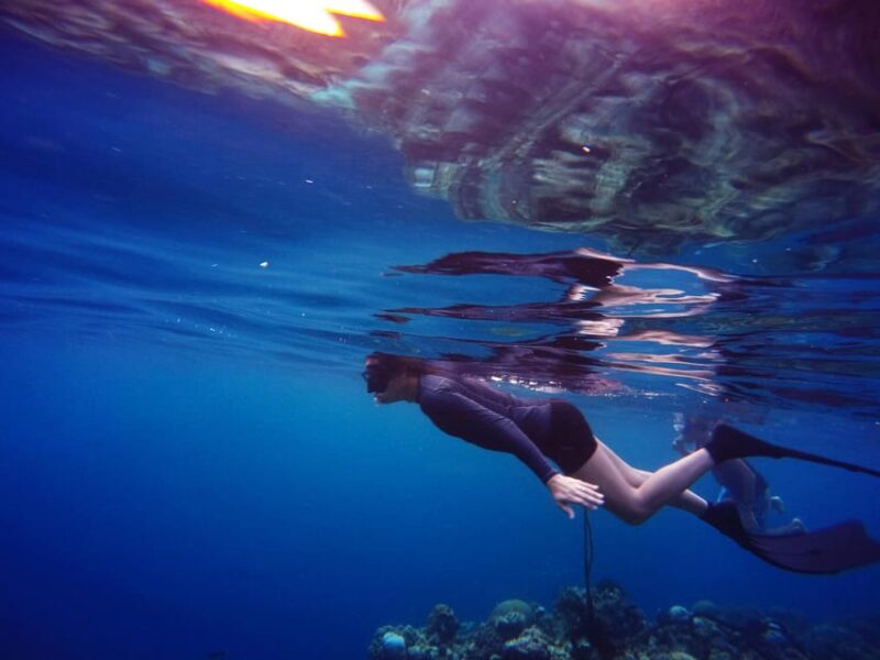 Snorkeling for beginners in crystal clear sea of Halkidiki - The Marine Environment and Underwater Features